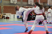 Oberbayerische Meisterschaft 2013_Kumite